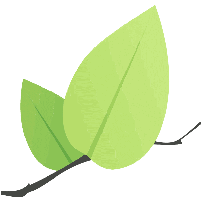 JavaScriptでメール送信を行える「EmailJS」の利用方法 | 勉強したことのメモ